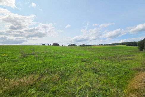 Ausblick in die Umgebung