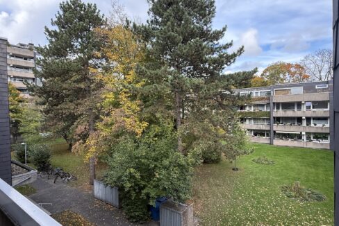 Blick in die Wohnanlage