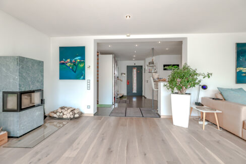 Eingangsbereich / Kamin