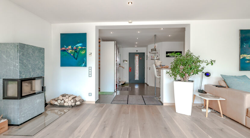 Eingangsbereich / Kamin