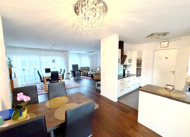 Wohn-/Essbereich mit offener Küche (mit Einbau)