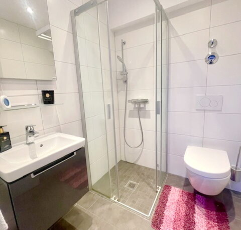 Gäste-WC mit ebenerdiger Dusche