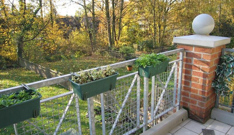 Balkonblick ins Grüne