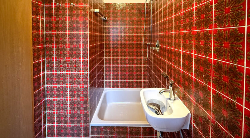 Tageslicht Gäste-Duschbad