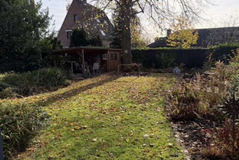 Alter Baumbestand im Garten