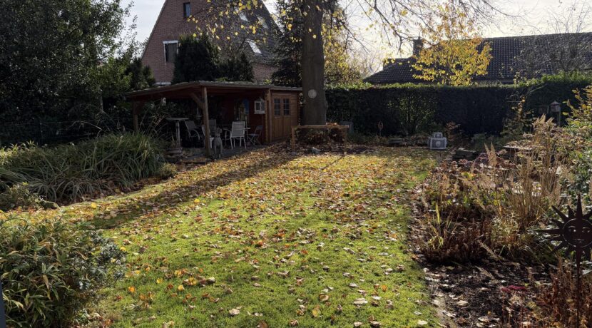 Alter Baumbestand im Garten