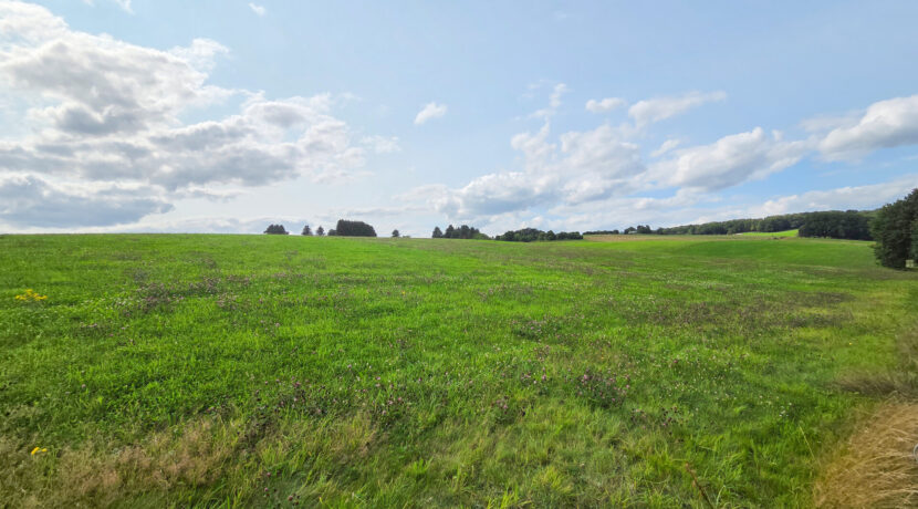 Ausblick in die Umgebung