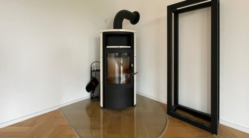 Kaminofen Wohnzimmer