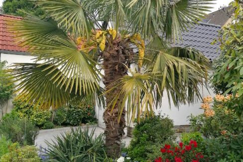 vielfältiger Pflanzenbestand...