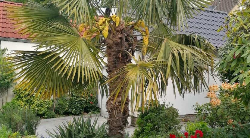 vielfältiger Pflanzenbestand...