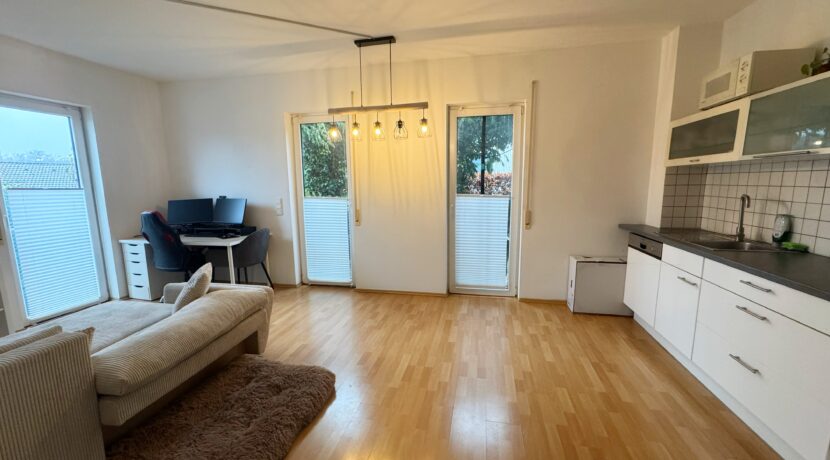 Wohnzimmer und Essbereich