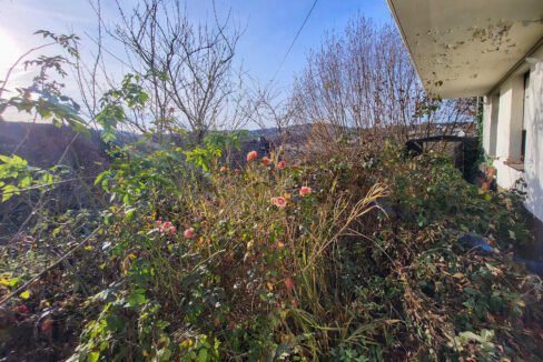 Blick vom Keller zum Garten