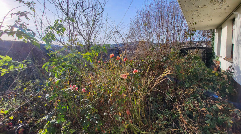 Blick vom Keller zum Garten