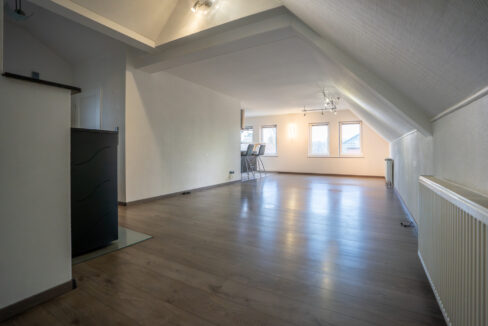 Offener Wohn Essbereich 1