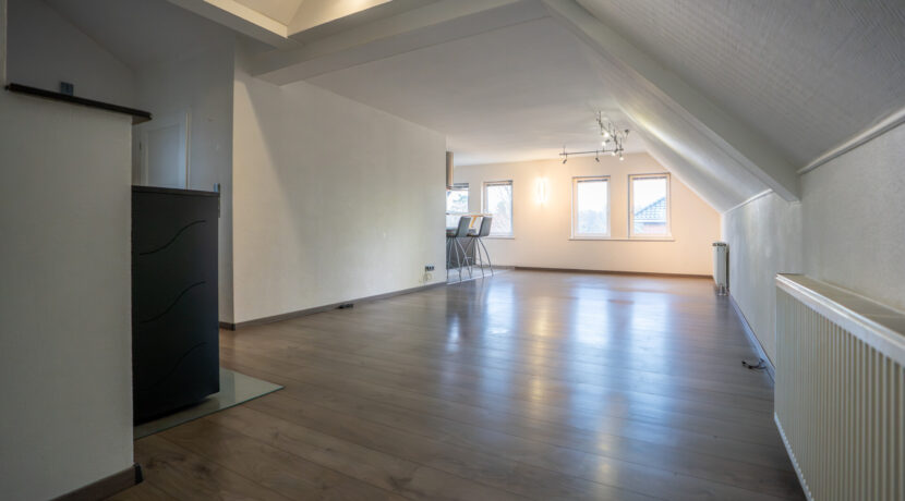 Offener Wohn Essbereich 1