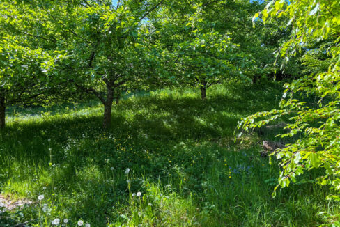 separates Gartengrundstück
