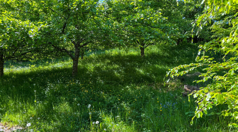 separates Gartengrundstück