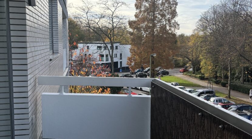 Balkon mit Blick auf die Haumannplatzwiese