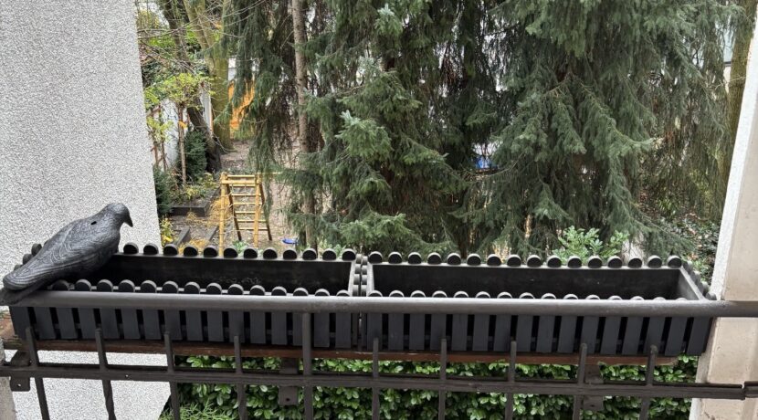 Balkon zur Rückseite