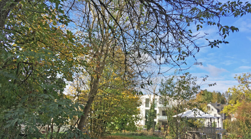 Großzügiges Grundstück in Eitorf