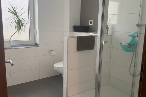 2. Tageslichtbad mit Walk-In-Dusche