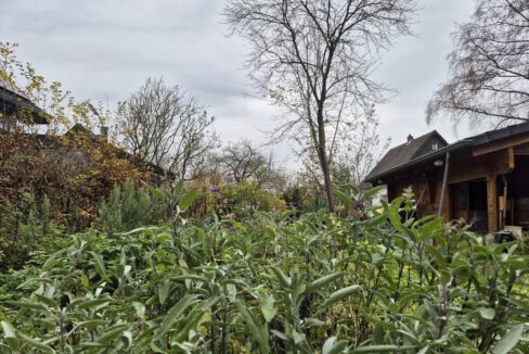 Verwunschener Garten