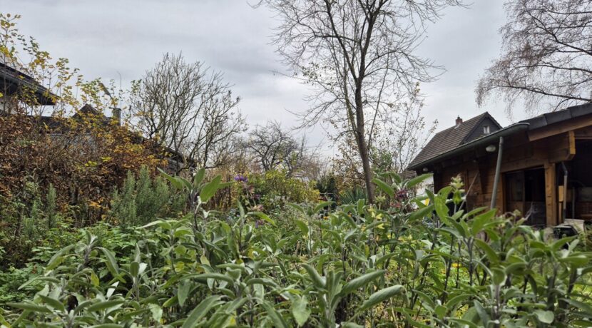 Verwunschener Garten