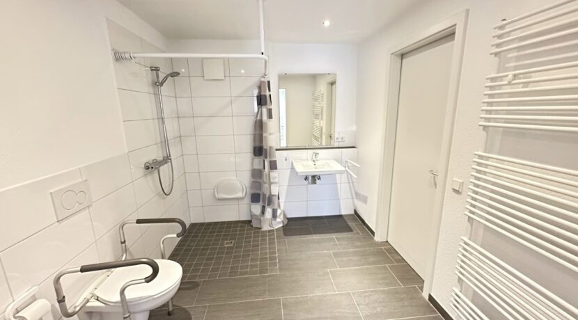 Badezimmer Flurzugang