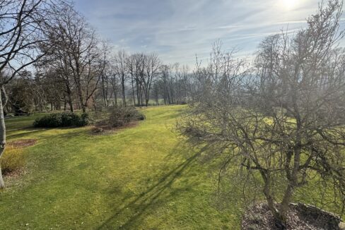 Blick aus dem Studio