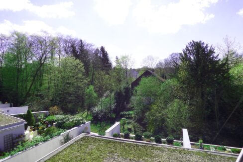 Ihr Blick von der Terrasse ins Grüne