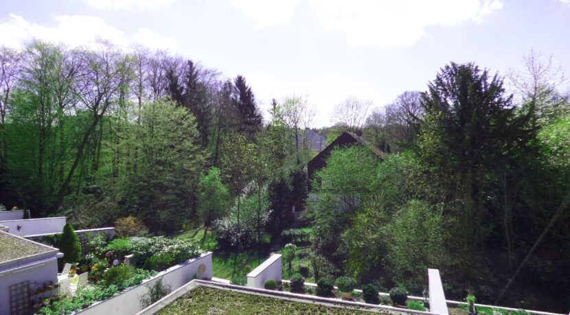 Ihr Blick von der Terrasse ins Grüne