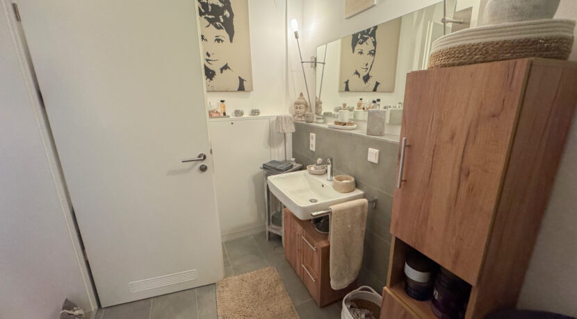 Hochwertiges Duschbad mit historischen Decken