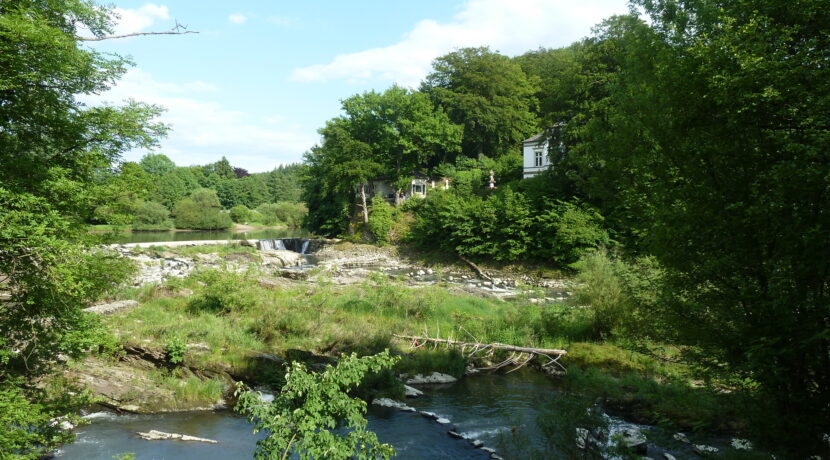 Umgebung: Wasserfall Schladern