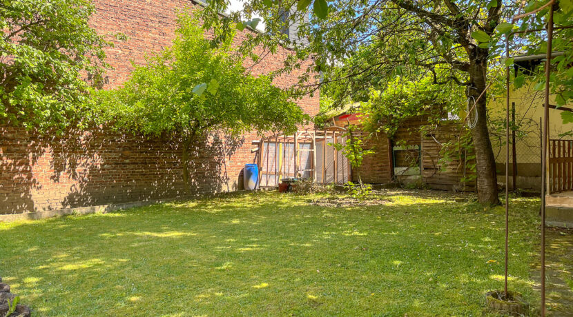 Gemeinschaftsgarten garten