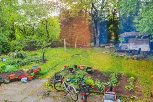 Blick in den Garten