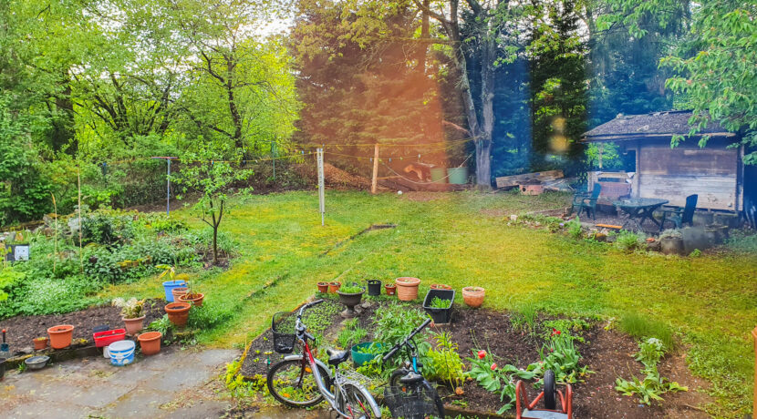 Blick in den Garten