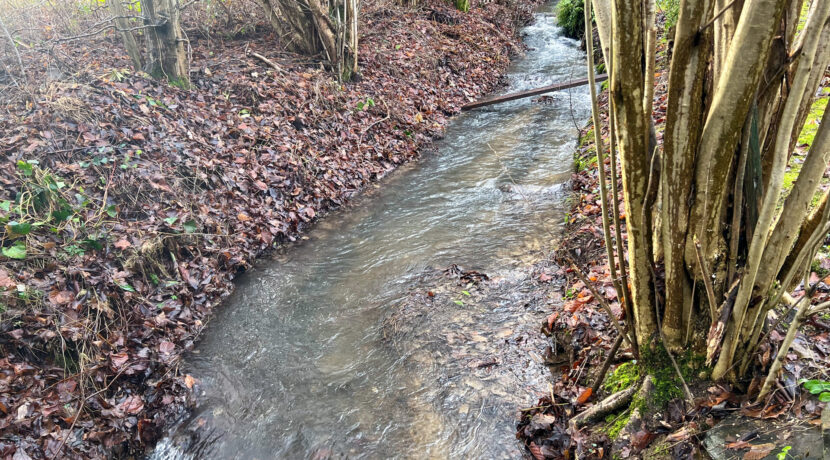 Bachlauf hinterm Haus