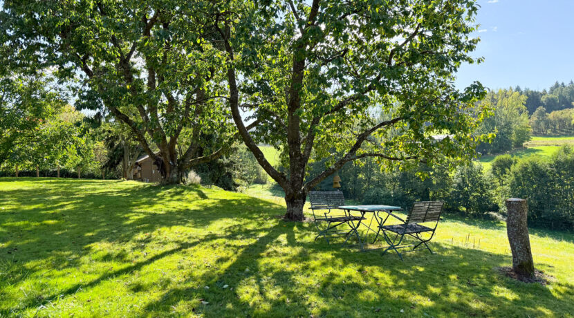 Blick vom Garten auf umliegende Wiesen