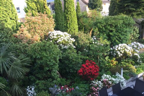 ...mit toller Farbenpracht