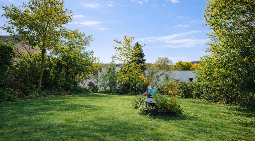 Gemeinschaftlicher Garten