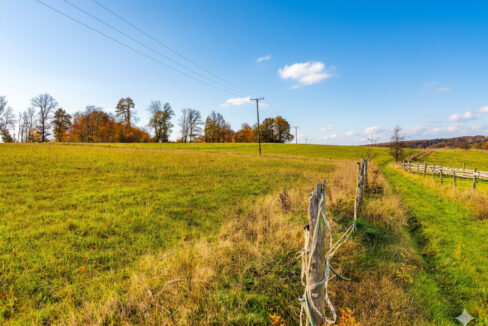 optionale Weidefläche