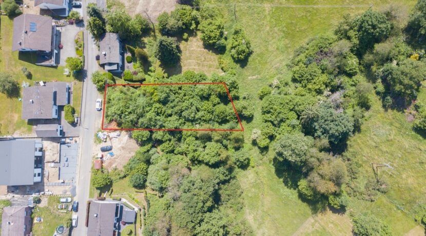 Drohnenaufnahme eingezeichnet