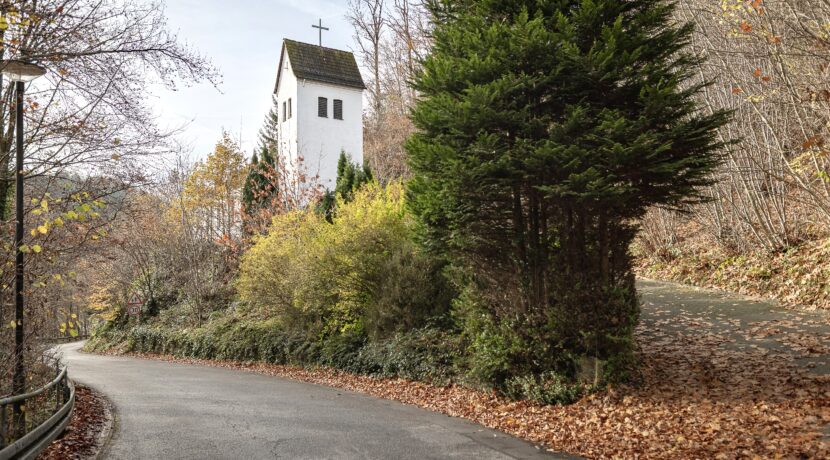 versteckt in grüner Umgebung