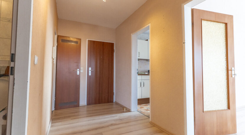 Wohnungsdiele (Foto II)