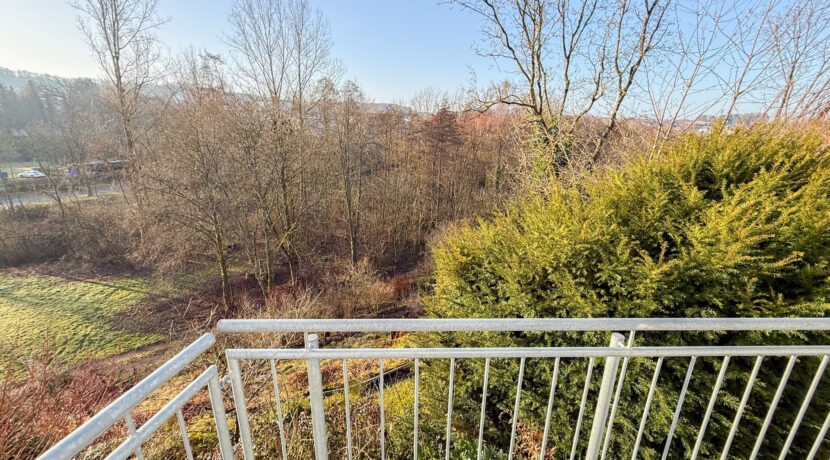 UG Blick vom Balkon