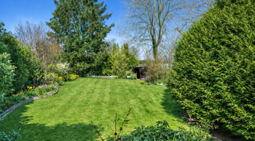 KI generierter Rasen