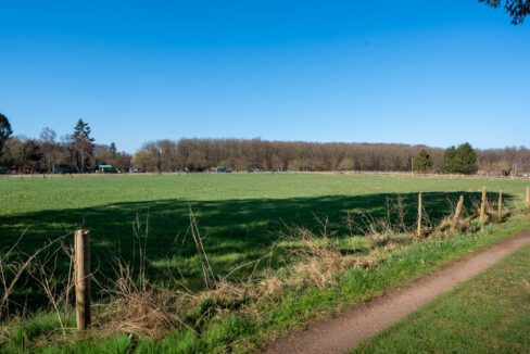 Direkter Zugang zu Feldern
