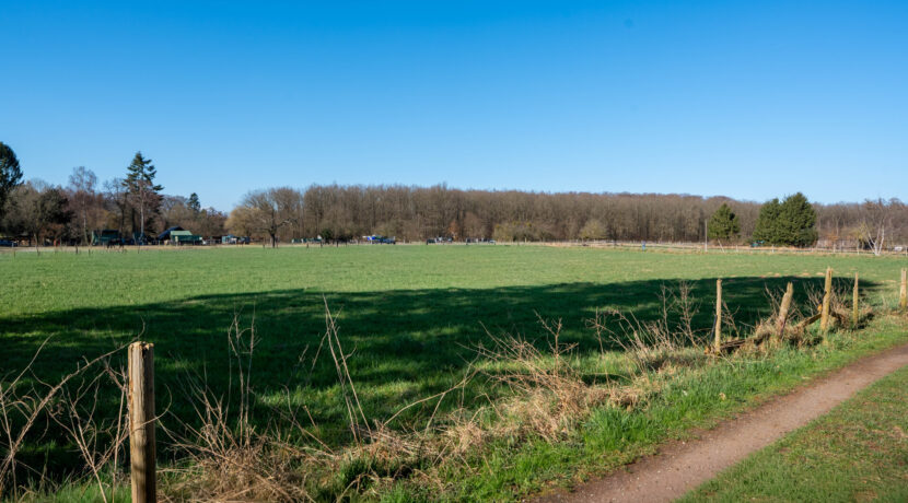 Direkter Zugang zu Feldern