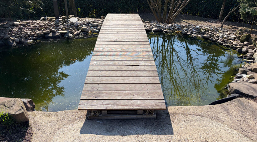Naturteich mit Holzbrücke