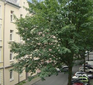 Sicht aus dem Fenster